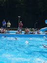 P7050988.JPG