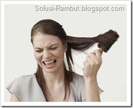 Rambut Kering Rambut Kering