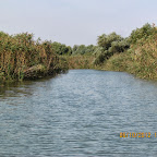 IMG_8046.JPG