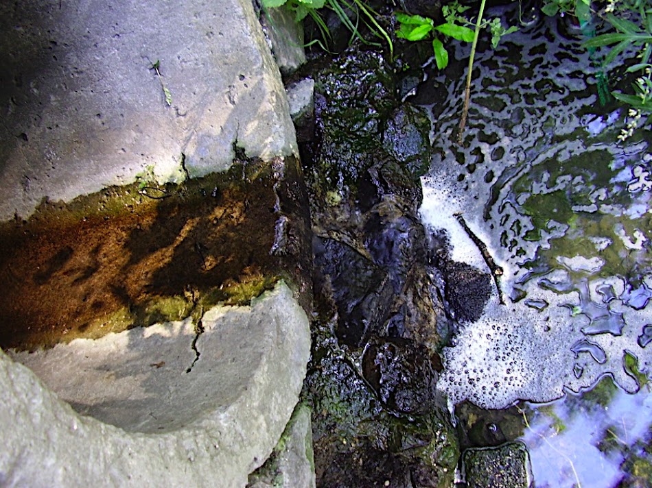 P8260023.JPG