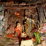 1446-4.JPG