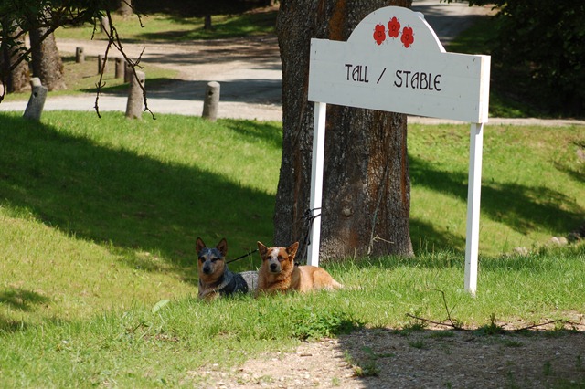 [DSC_5317%255B3%255D.jpg]