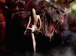 Dragon And Beauty