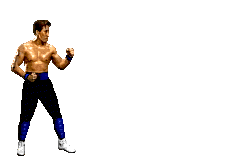 cageflashpunch cageflashpunch