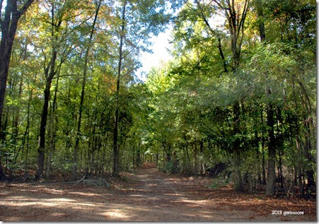 lake columbia 010 lake columbia 010