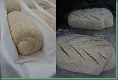 pane accademia del tartufo 1 pane accademia del tartufo 1