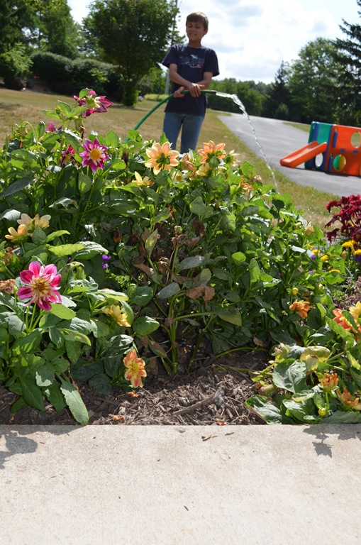 [DSC_2219%255B3%255D.jpg]