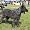 IMG_2886.JPG