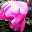6-4-20071.jpg
