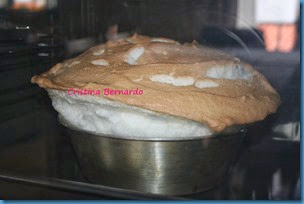 IMG_5967 IMG_5967