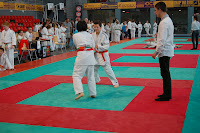 DSC_0033.JPG