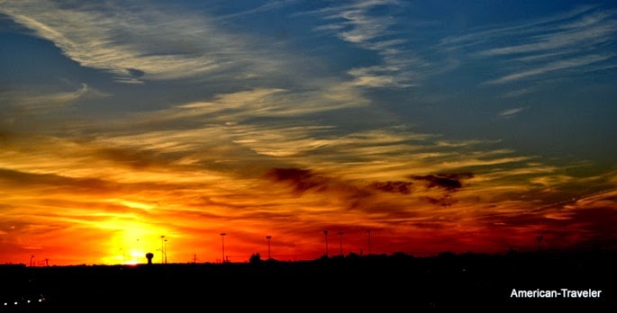 DSC_0311 DSC_0311