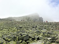 IMG_1382.jpg