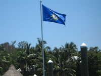 IMG_4345.jpg