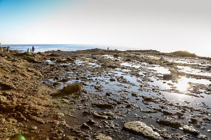orange county beach life photography-2 orange county beach life photography-2