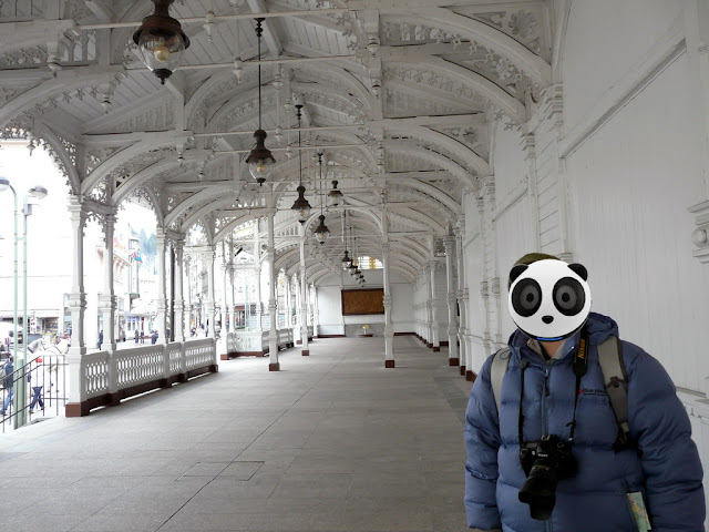 20080320Czech191.JPG