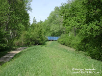 dsc06637.jpg