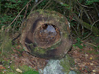 mount_st._hellens