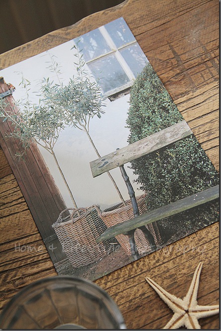 Home & Lifestyle Home & Lifestyle