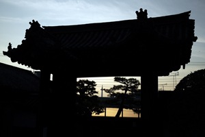 P1020554
