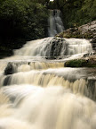 McLean Fall, Catlins