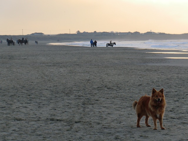 [november420110053.jpg]