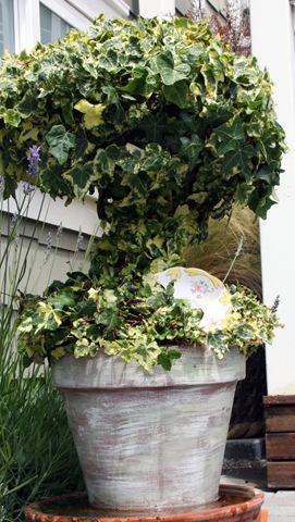 [Topiary5%255B3%255D.jpg]