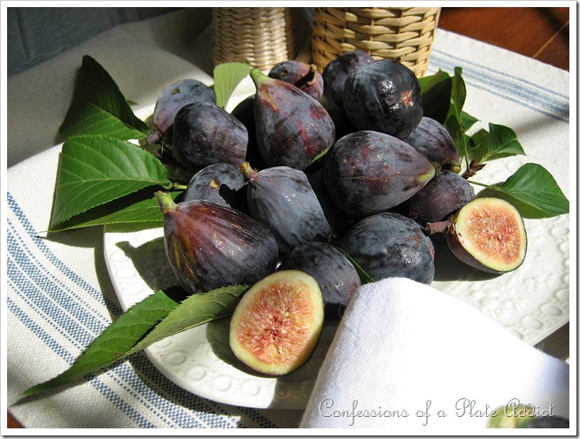 figs figs