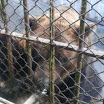 hokkaido_617.jpg