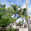 P1010253.JPG