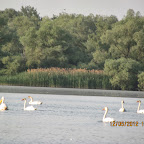 IMG_7896.JPG