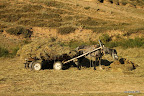 Horse-drawn cart with hay