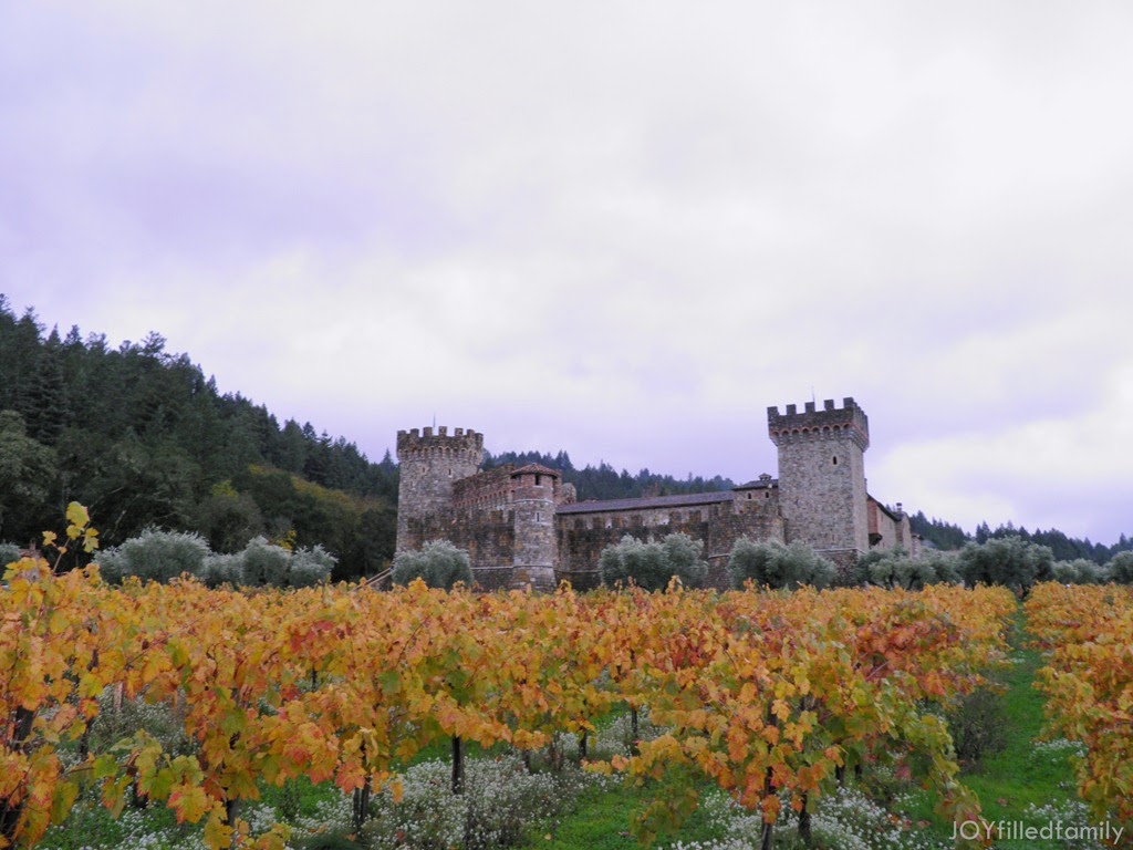 [Castillo%2520de%2520Amirosa%255B6%255D.jpg]