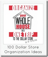 100 Dollar Store Organization Ideas