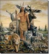 animais de poder animais de poder