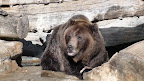 denver_zoo