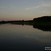 dsc03732.jpg