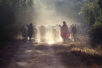 Bhanwar Slideshow