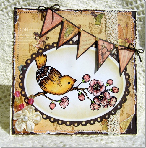 Banner_Bird