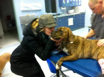 Vets and techs at Hillside Animal Clinic had to work around Kelly, who couldn't stop kissing Rosey, as they checked Rosey out. Vets and techs at Hillside Animal Clinic had to work around Kelly, who couldn't stop kissing Rosey, as they checked Rosey out.