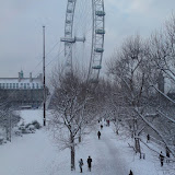 DSC00335.JPG