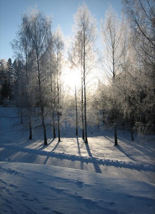 Finland 150_thumb[4]