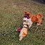 48er-2011-30-07-2011_18-09-27.jpg