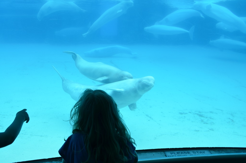 [DSC_1689%255B3%255D.jpg]