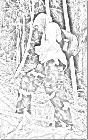 hiking hiking