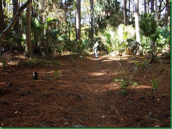 Sunday at Hunting Island 011