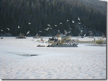 IMG_5793 IMG_5793