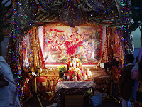 my pics 064.jpg