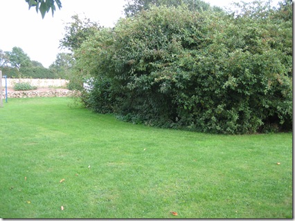 IMG_2509 IMG_2509