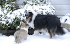 _DSC0039.JPG